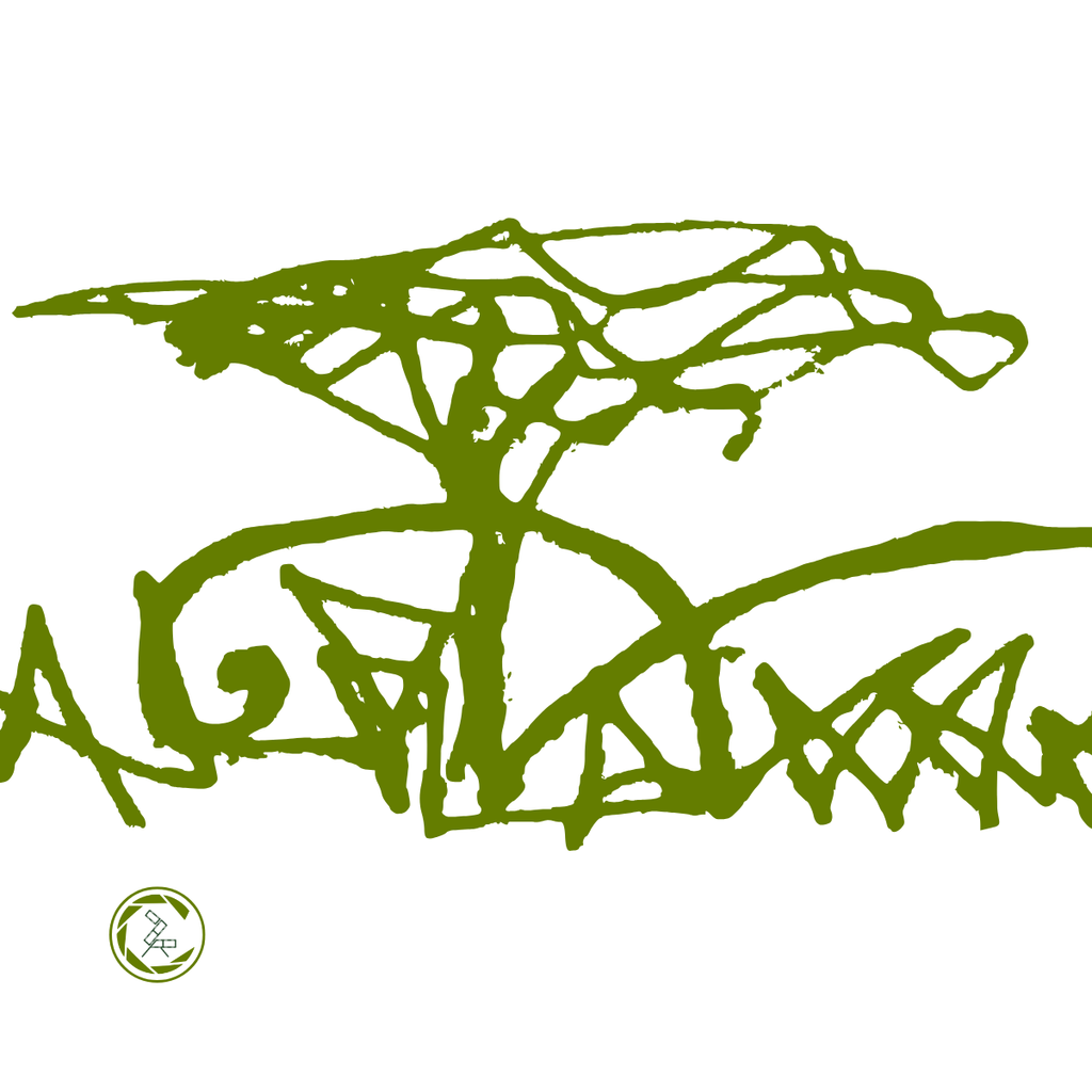 SAVANNAH